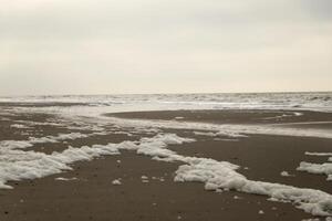 high tide line on the beach, separation between sea and beach photo