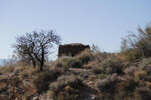 naturaleza en alrededores de uleila del campo, almeria foto