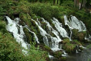 little waterfall in nature photo