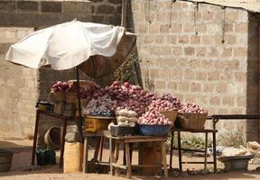 cebollas y ajo a el mercado en parakou foto