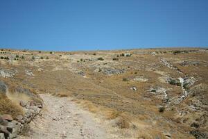 petrified forest on lesbos photo