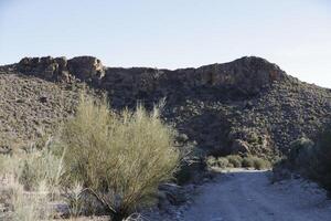 walking path in the almanzora valley photo