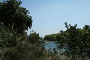 river at the beach of preveli photo