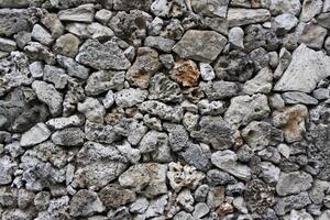 a wall made of coral photo