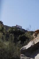 nature in surroundings of uleila del campo, almeria photo