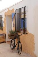 old bicycle with crate with plants photo