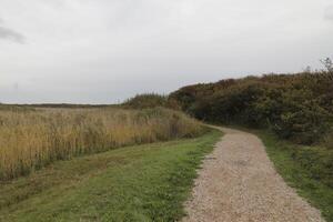 Zwanenwater nature park in the autumn, netherlands photo