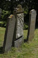 ancient graveyard in westerland, the netherlands photo