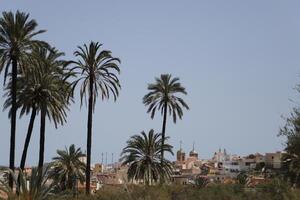 environment of cuevas del almanzora, spain photo