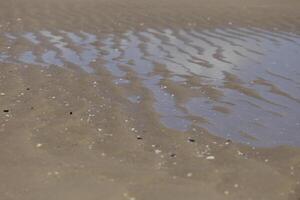 low tide at the beach photo