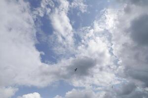 cloudscape, village petten at the north sea, the netherlands, photo