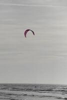 beach in the winter, kitesurfing, in the netherlands photo