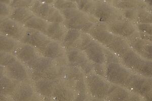 sand with a structure at the beach photo