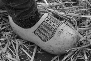 dutch wooden shoe photo