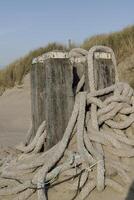 wooden mile markers on the beach with ship cables, photo