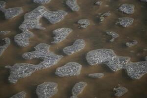 amazing, never seen it before, ice on the salt water and sand, beach, north sea,winter in the netherlands photo