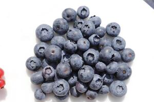 blue berries rich in vitamins photo