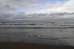 playa en el Países Bajos, otoño foto