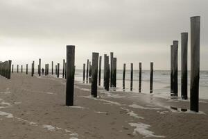 stilt village at sea, netherlands photo