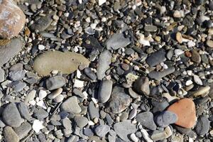 pebbles at the beach photo