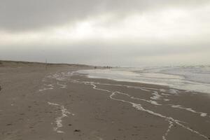 foam at the beach, winter in the Netherlands photo