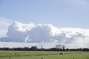 dutch landscape, netherlands photo