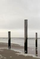 stilt village at sea, netherlands photo