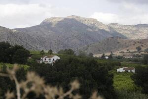 naturaleza de las melizas, málaga, España foto