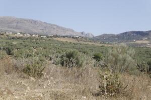 mountains landscape in province Malaga, Spain photo