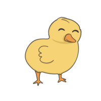 poco pollo pulcino etichetta illustrazione png