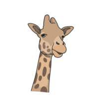 girafe autocollant illustration png