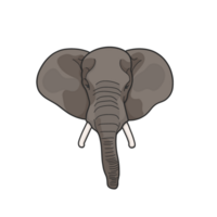 Elephant Head Sticker Tshirt Illustration png