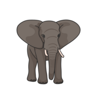 elefant klistermärke tshirt illustration png