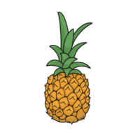 Pineapple Sticker Illustration png