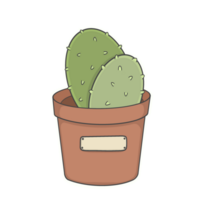 cactus transparant achtergrond sticker illustratie png