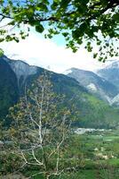 beautiful nature in the mountains of france photo