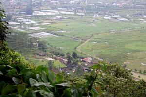 nature in the mountains of bali photo