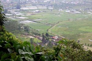 nature in the mountains of bali photo