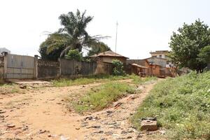 mud path to houses in porto novo photo