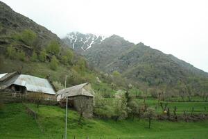 beautiful nature in the mountains of france photo