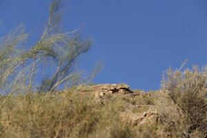 mountain views in the almanzora valley photo