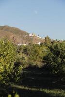 mountain views in the almanzora valley photo