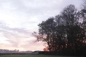 cloudy sunrise in the netherlands photo
