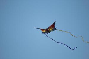 kite flies in the sky playing at the beach, the north sea at petten, the netherlands photo