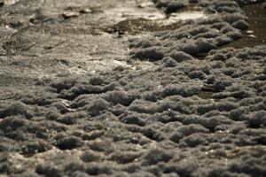 amazing, never seen it before, ice on the salt water and sand, beach, north sea,winter in the netherlands photo