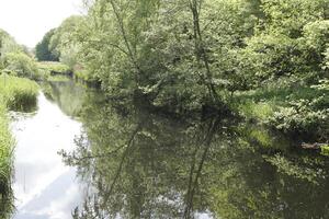 canal en el Países Bajos, primavera, foto