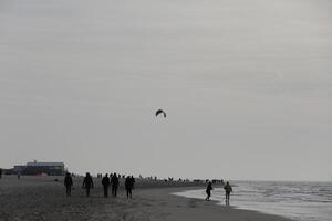 people walking, beach in the winter, netherlands photo