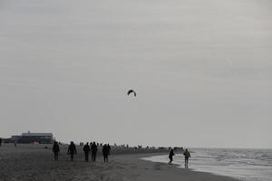 people walking, beach in the winter, netherlands photo