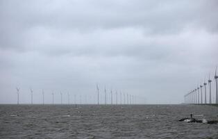 molinos de viento, lago de ijssel, lago, el Países Bajos foto