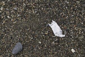 beach after storm, danger to marine life, plastic waste, plastic junk, plastic, marine life in danger, polluting people photo